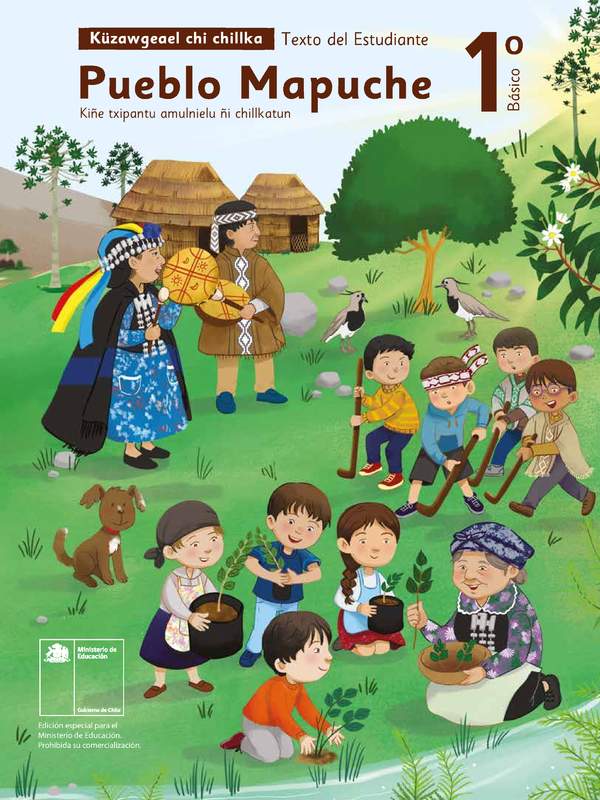 Lengua y Cultura de los Pueblos Originarios Ancestrales 1º Básico, Pueblo Rapa Nui, Texto del estudiante