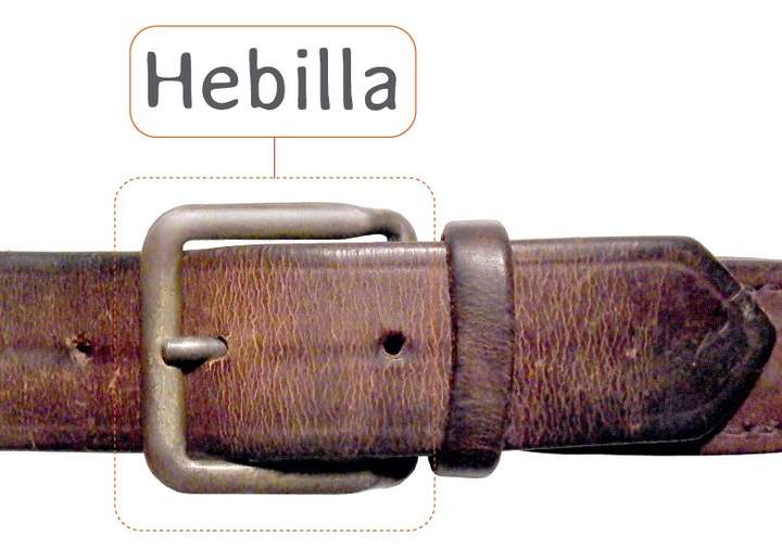 Afiche de vocabulario: hebilla