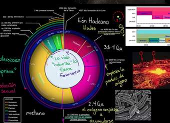 La biodiversidad florece en el eón fanerozoico | Biología | Khan Academy en Español