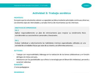Actividad 3: Trabajo aeróbico