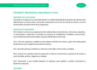 Actividad 4: Reproducirse, especializarse o morir