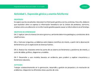 Actividad 1: Expresión génica y anemia falciforme