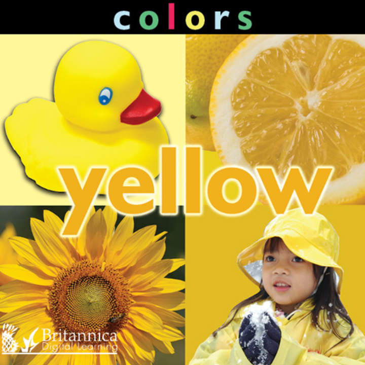 Colors: Yellow