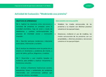 Actividad de evaluación: Modelizando una proteína