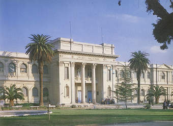 Los museos en Chile (1929-1988)