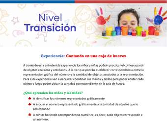 Experiencia Educativa: Contando con una caja de huevos