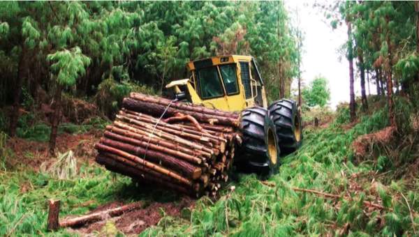 Tigercat (2013). Sistema de cosecha de plantaciones de pino Cotopaxi