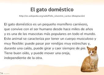 El gato doméstico