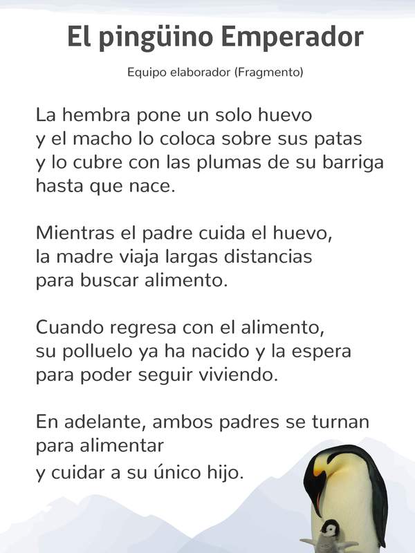 El pingüino Emperador