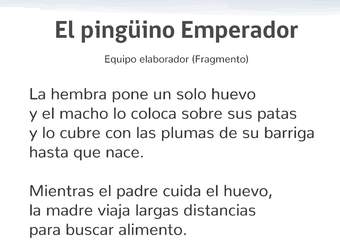 El pingüino Emperador