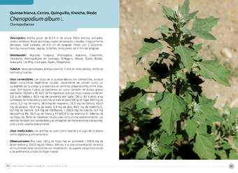 Chenopodium album L.