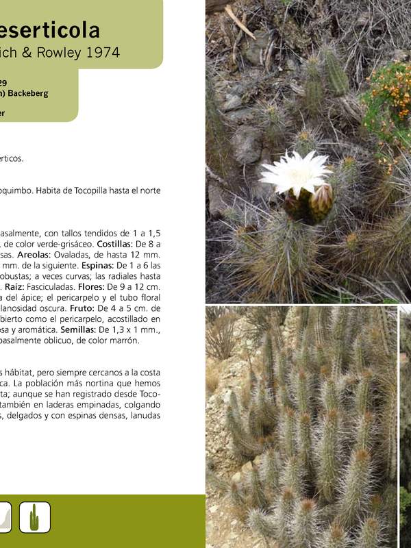 Echinopsis deserticola