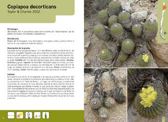 Copiapoa decorticans