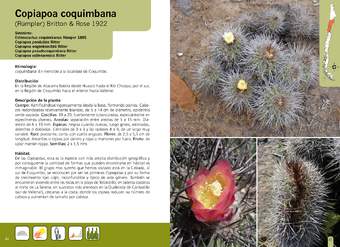 Copiapoa coquimbana