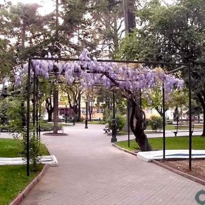 Plaza de armas de Curicó