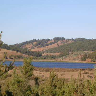 Llico, Vichuquén.