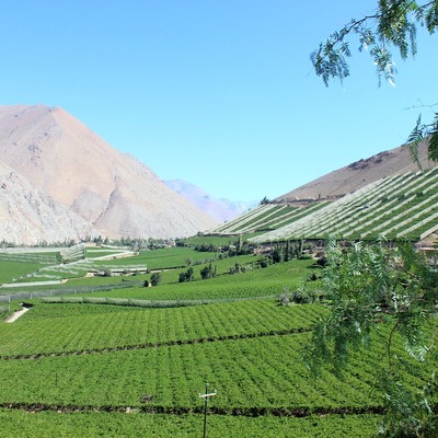 Valle del Elqui