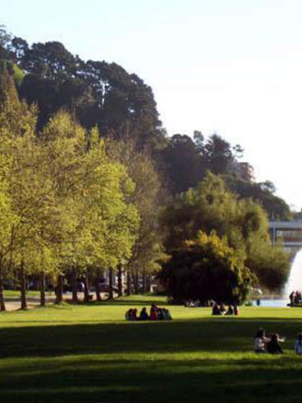 Universidad de Concepción