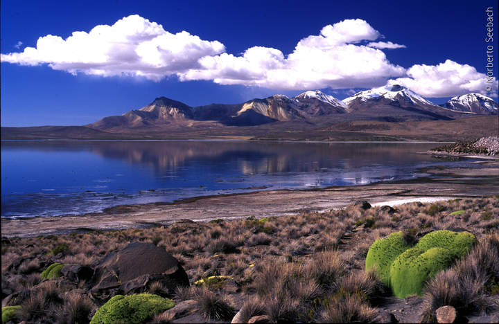 Lago Chungará