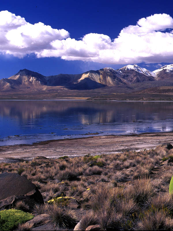 Lago Chungará