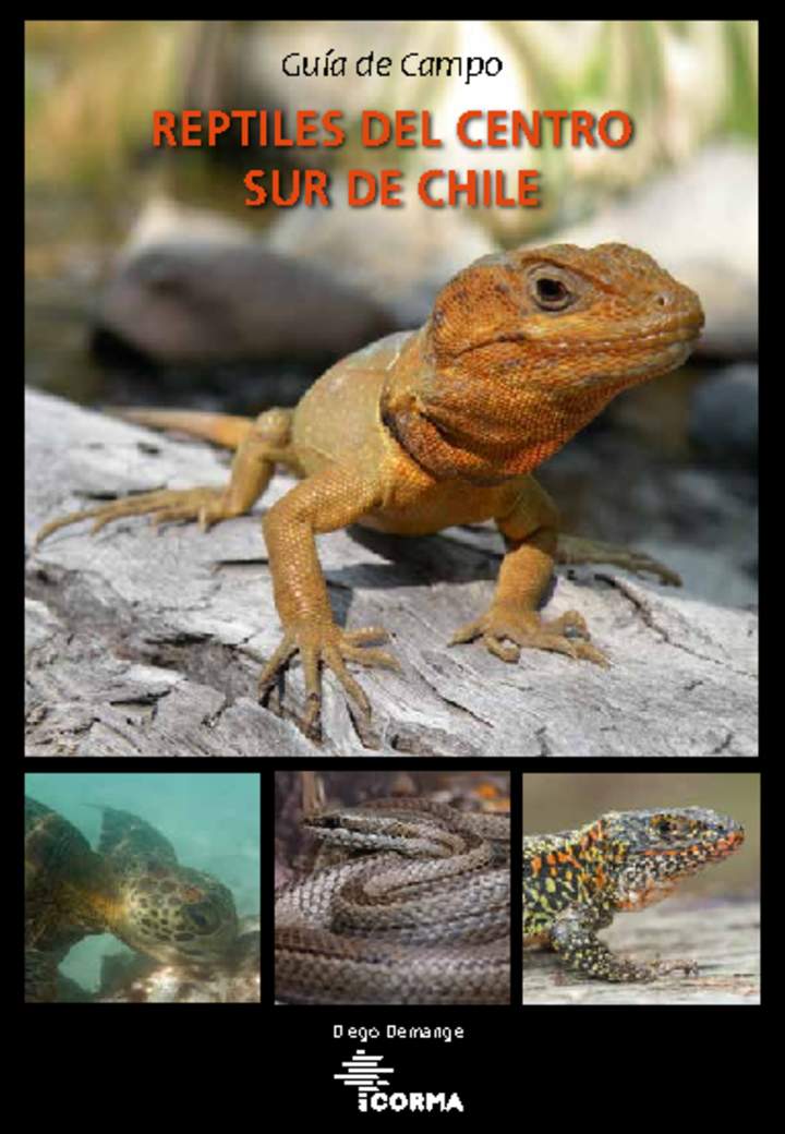 Guía de campo reptiles del centro sur de Chile